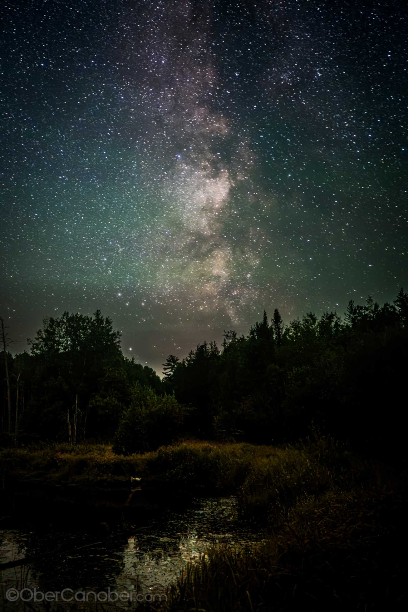 Northern Minnesota